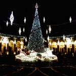 Si accende il Natale a Caserta: L'albero di Natale